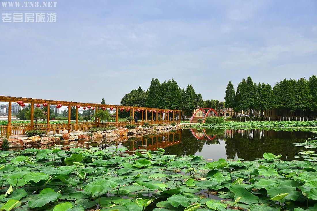 “亲水园”，是景区利用蓄水形成水的良性循环的一个典例。整体由四个水池组成，每个水池水面都平静而透彻见底，在不同的角度观看，会看到不同的山影倒立水中美景，妙不可言。